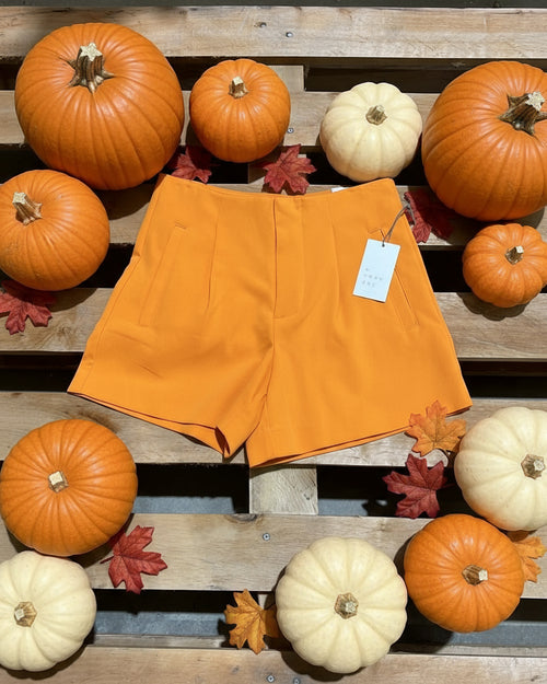 "KC" Orange Pleated Shorts: Size 2