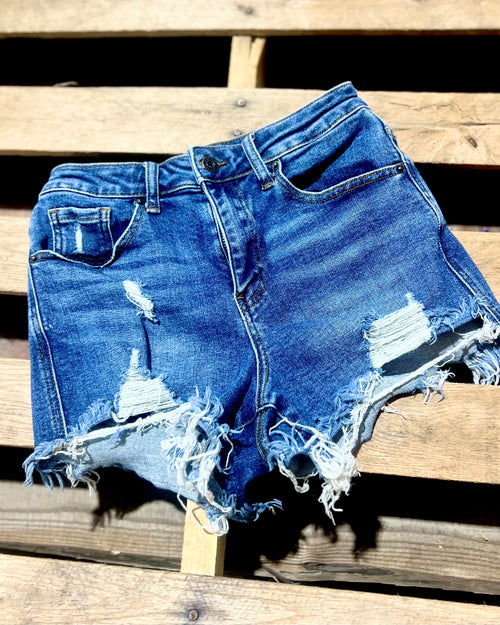 "KC" Distressed Shorts (Risen) Size: S