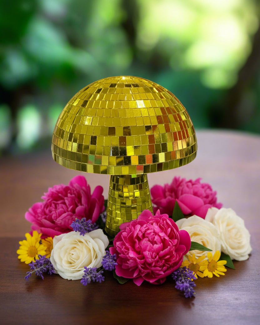 Yellow Disco Mushroom