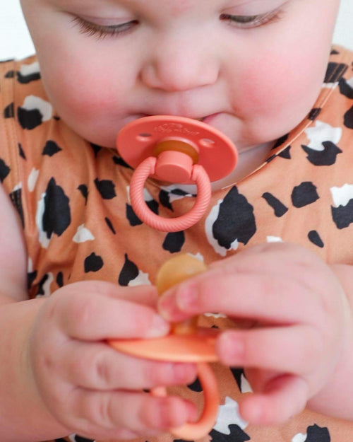 Bex Collection | The Lace Cactus